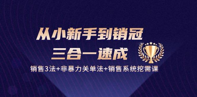 从小新手到销冠 三合一速成：销售3法+非暴力关单法+销售系统挖需课 (27节-87创业网