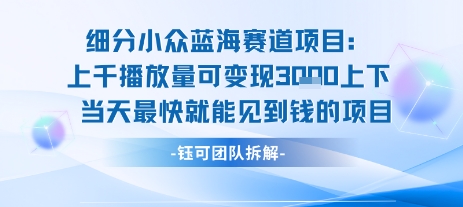 小众蓝海赛道项目：当天变现1k+适合新手操作 +适合长期玩-87创业网