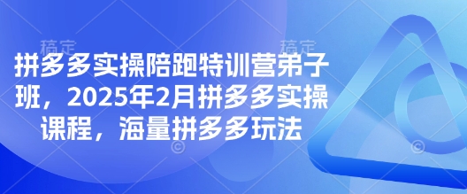 拼多多实操陪跑特训营弟子班，2025年2月拼多多实操课程，海量拼多多玩法-87创业网