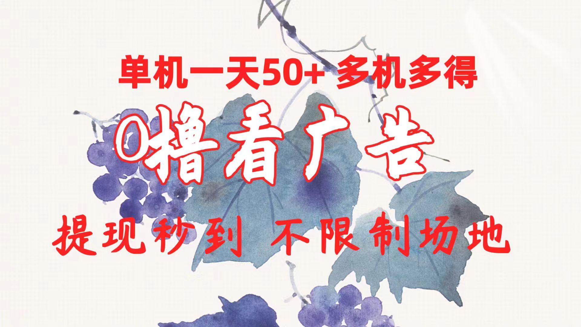 0撸看广告 单机一天50+多机多得 提现秒到 不限制场地操作-87创业网