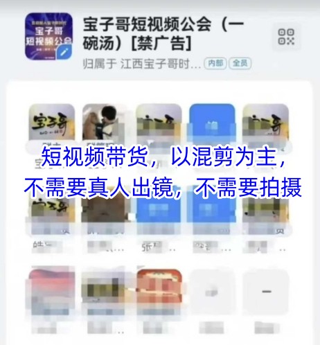 宝子哥头部团队短视频带货，以混剪为主，不需要真人出镜，不需要拍摄【更新】-87创业网