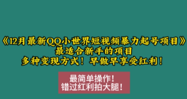 12月最新QQ小世界短视频暴力起号项目，最适合新手的项目，多种变现方式-87创业网