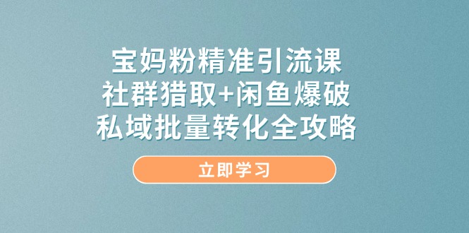 宝妈粉精准引流课，社群猎取+闲鱼爆破，私域批量转化全攻略-87创业网