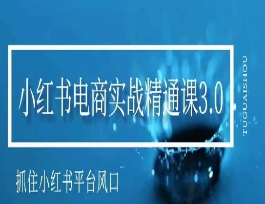 小红书电商实战精通课3.0，抓住小红书平台的风口，不错过有一个赚钱的机会-87创业网