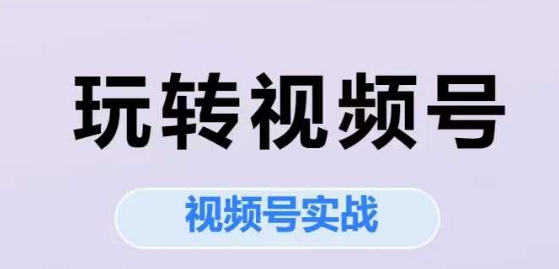 玩转视频号，视频号实战系列课-87创业网