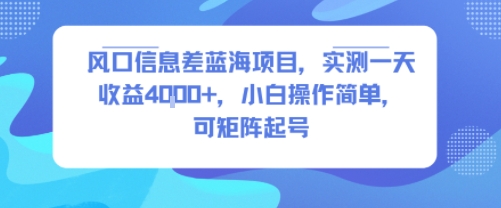 风口信息差蓝海项目，实测一天收益4k+，小白操作简单，可矩阵起号-87创业网