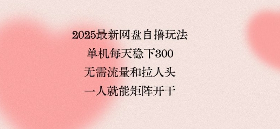 2025最新网盘自撸玩法，单机每天稳下3张，无需流量和拉人头，一个人就可轻松矩阵，全网独一份【揭秘】-87创业网