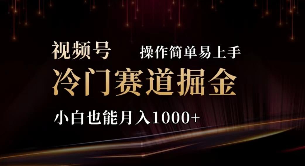 2024视频号冷门赛道掘金，操作简单轻松上手，小白也能月入1000+-87创业网