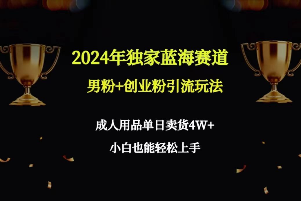 2024年独家蓝海赛道男粉+创业粉引流玩法，成人用品单日卖货4W+保姆教程-87创业网