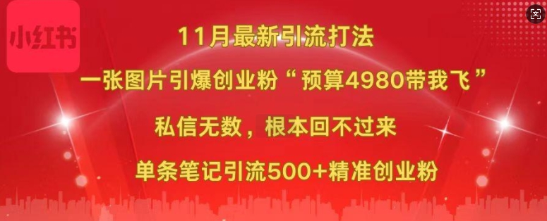 小红书11月最新图片打粉，一张图片引爆创业粉，“预算4980带我飞”，单条引流500+精准创业粉-87创业网