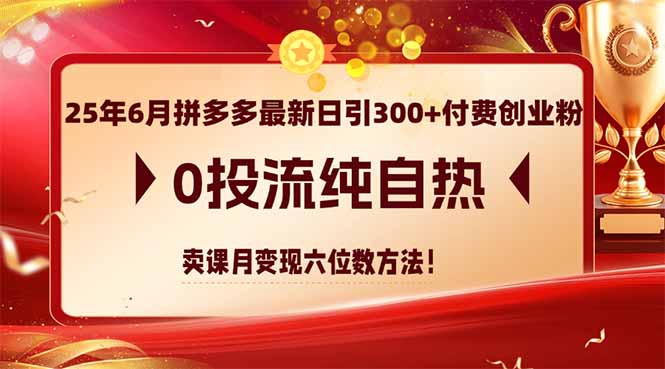 25年6月拼多多最新日引300+付费创业粉，0投流纯自热 卖课月变现六位数方法-87创业网
