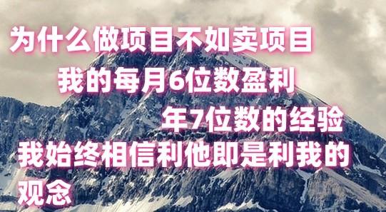 做项目不如卖项目，每月6位数盈利，年7位数经验-87创业网