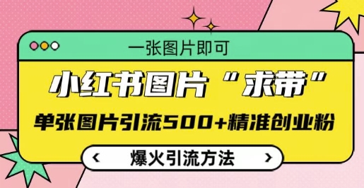 小红书图片‘求带’爆火引流法，单张图片引流500+精准创业粉【揭秘】-87创业网