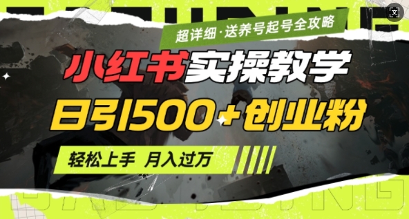 2月小红书最新日引500+创业粉实操教学【超详细】小白轻松上手，月入1W+，附小红书养号起号SOP-87创业网