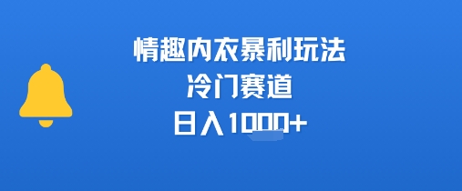情趣内衣暴利玩法，冷门赛道，日入1k+-87创业网