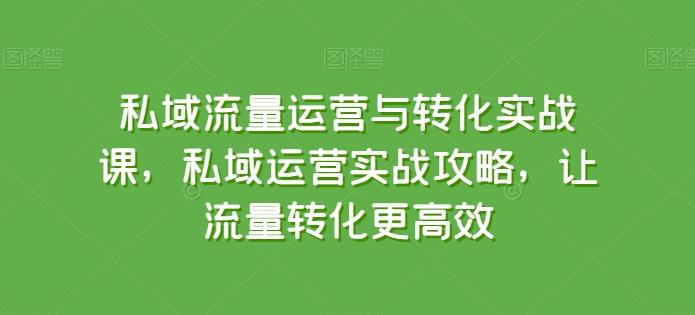 私域流量运营与转化实战课，私域运营实战攻略，让流量转化更高效-87创业网