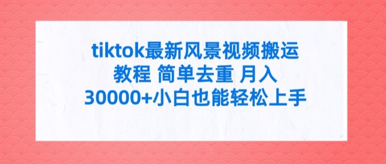 tiktok最新风景视频搬运教程 简单去重 月入3W+小白也能轻松上手【揭秘】-87创业网