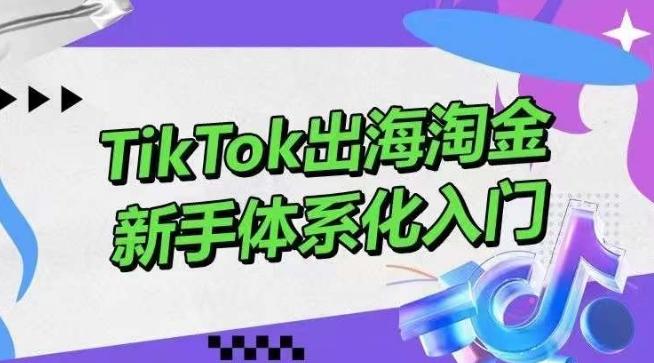 TikTok出海淘金，新手体系化入门，零基础快速入门，掌握短视频、直播带货等引流到变现的知识-87创业网