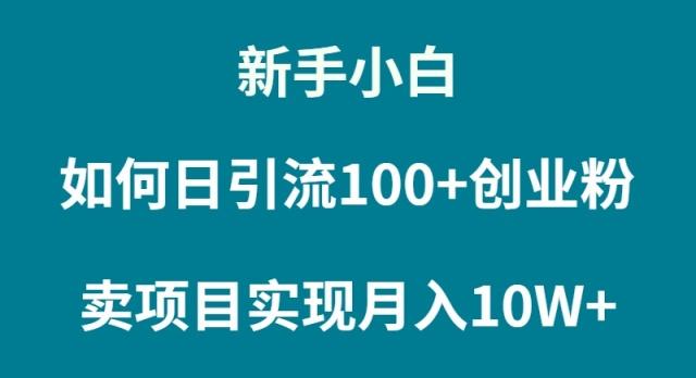 (9556期)新手小白如何通过卖项目实现月入10W+-87创业网