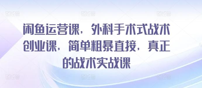 闲鱼运营课，外科手术式战术创业课，简单粗暴直接，真正的战术实战课-87创业网