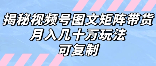 解密视频号图文矩阵带货，月入几个W的打法，可复制-87创业网