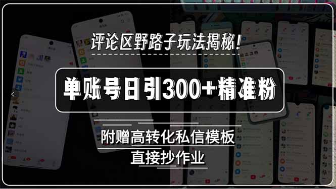 评论区野路子玩法揭秘！单账号日引300+精准粉，附赠高转化私信模板，直…-87创业网