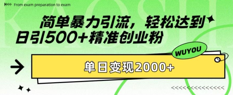 简单暴力引流，轻松达到日引500+精准创业粉，单日变现2k【揭秘】-87创业网