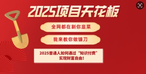 2025项目天花板普通人如何通过知识付费，实现财F自由【揭秘】-87创业网
